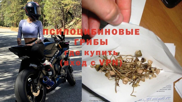 круглые Пересвет